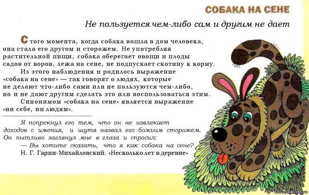 Лопе де вега собака на сене смысл названия