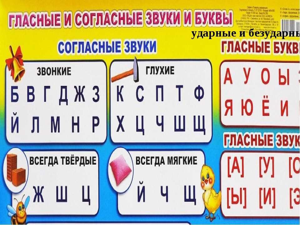 Твёрдые и мягкие согласные звуки