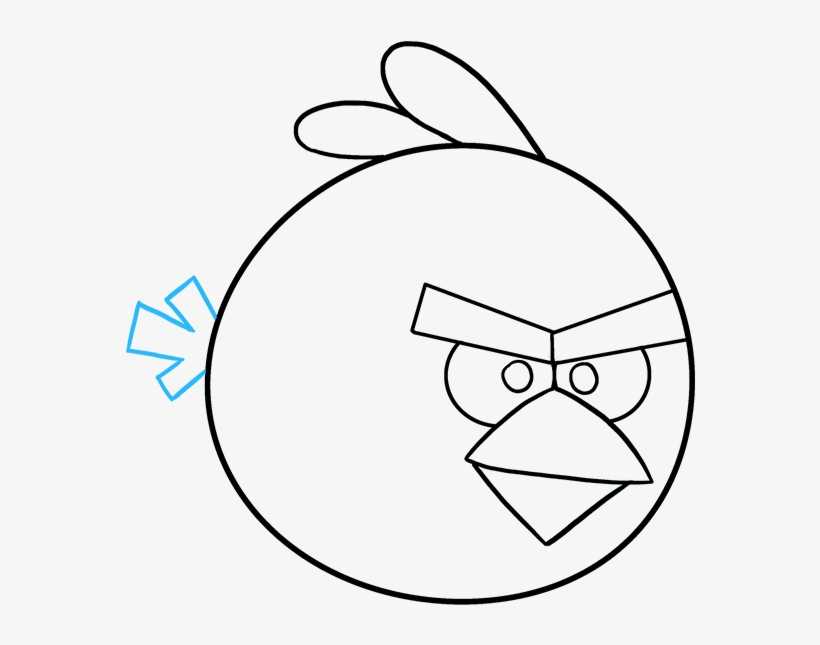 Энгри бердз поэтапное рисование. как нарисовать angry birds карандашом. теперь рассмотрим, как рисовать черную птичку