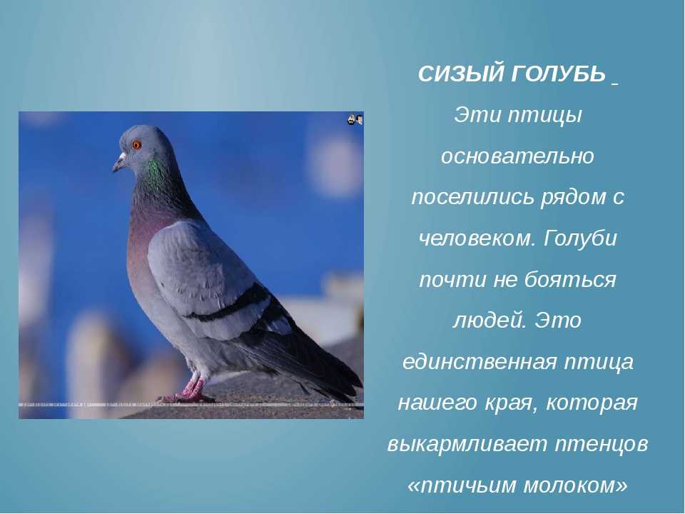 Загадка про футбольное поле сложная. я собою очень горд, ведь дарит мне здоровье спорт! загадки про спорт для детей