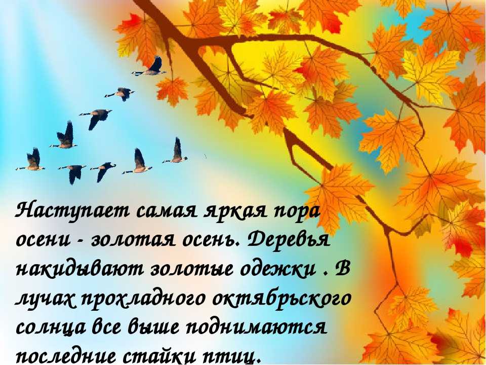 Стихи про осень для детей 7-8-9 лет