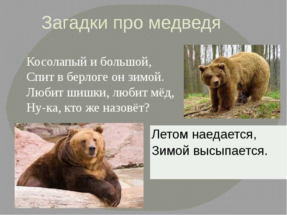 Загадки обманки на внимательность для детей