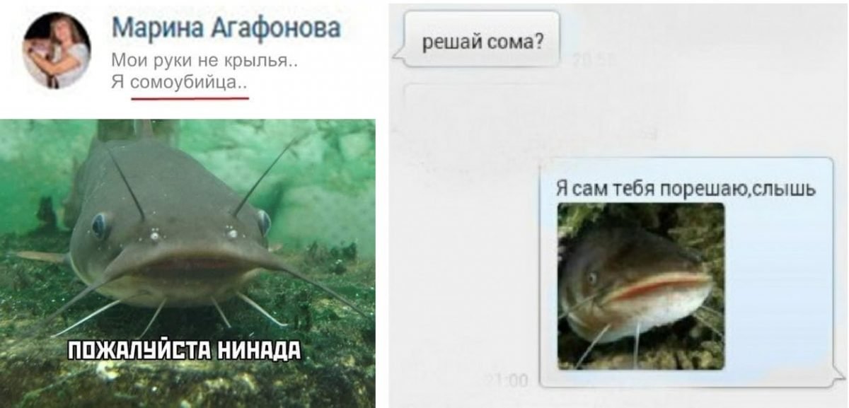 Посуди сама картинка: сама посуди в меме (49 фото) » юмор, позитив и много смешных картинок – всё о детях – беременность, воспитание, уроки для детей