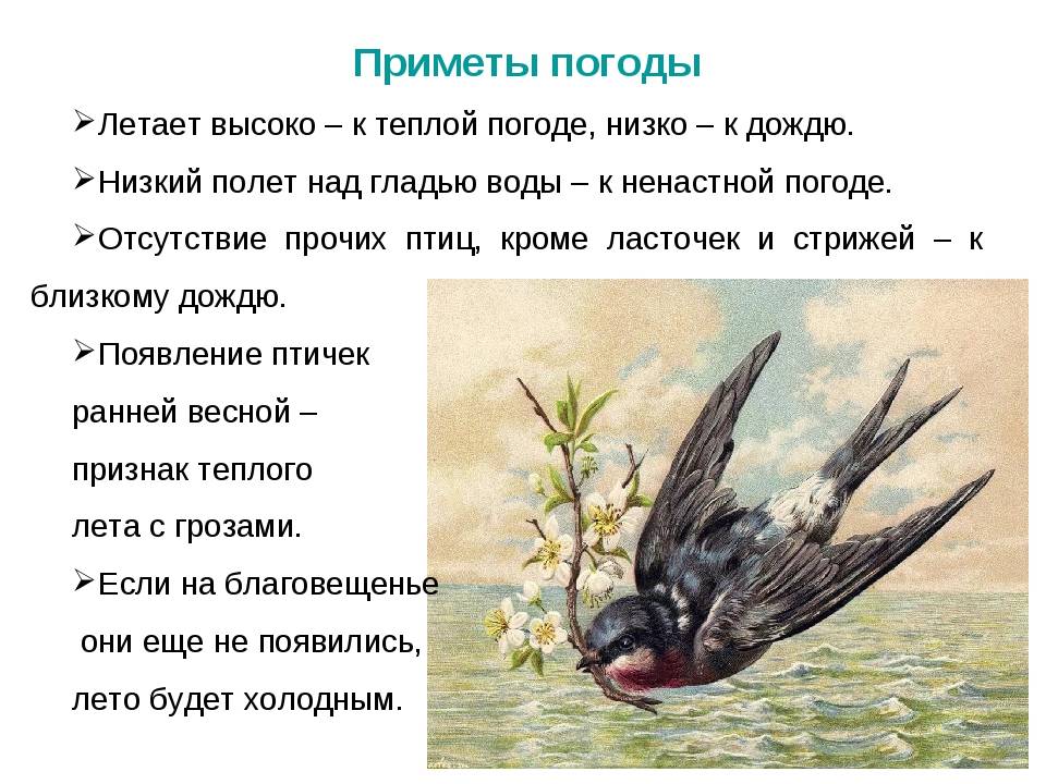 Пословицы про весну и весенние месяцы