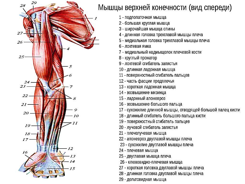 Пошлые загадки для взрослых