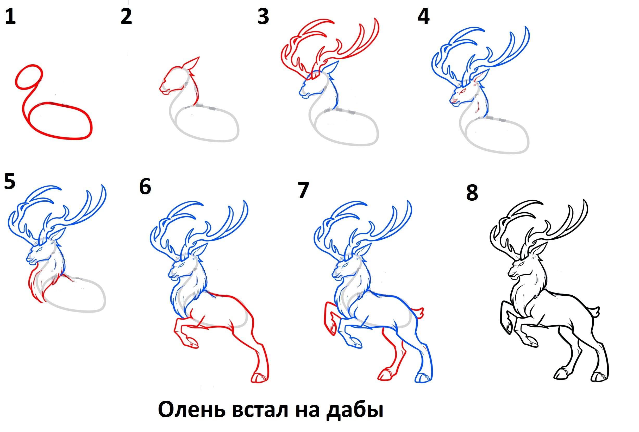 Эхо детский рисунок (фото) - вдохновение и творчество - detskieru.ru