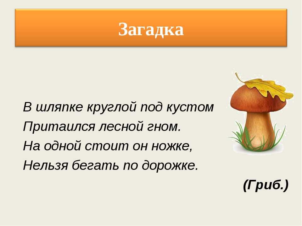 Считалки для детей | задания для детей: дошкольников и младшей школы