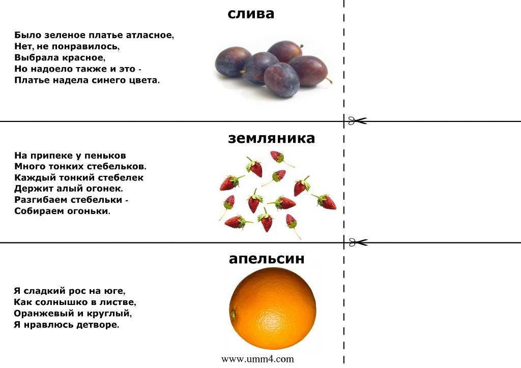 Лучшие загадки для детей 7-8 лет с ответами