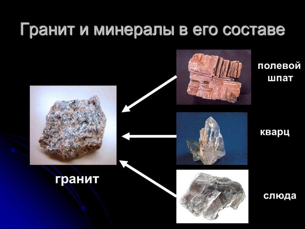 Урок 9: что у нас под ногами - 100urokov.ru