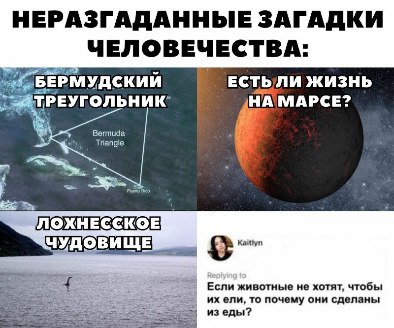 «протестантская этика и дух капитализма». вебер за 90 минут (просто о сложном)