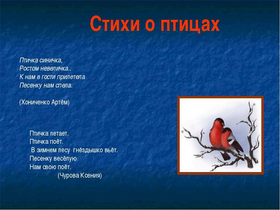 Стихи про птиц для детей 6-7 лет