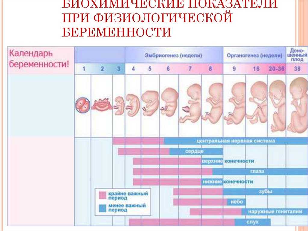 У кого чаще рождаются девочки и мальчики / mama66.ru
