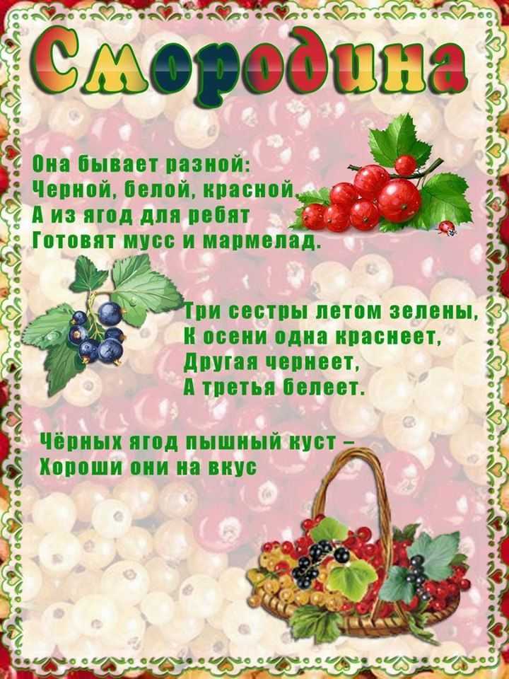 Загадки про ядовитые ягоды. загадки для детей про ягоды