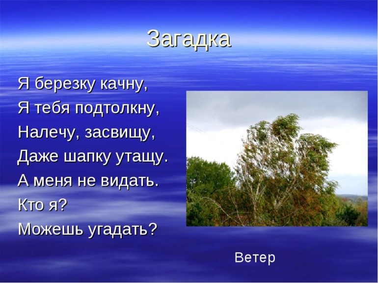 46 осенних загадок про листопад, гербарий, лужи и многое другое