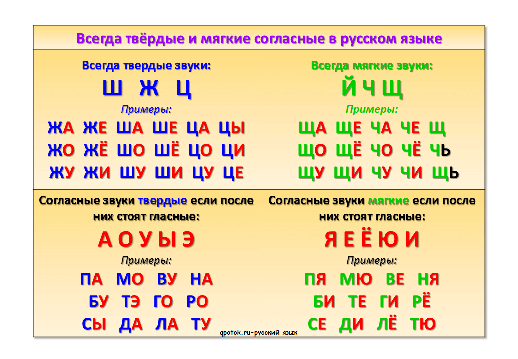 Мягкие согласные буквы в русском языке – правило и примеры звуков в таблице (1 класс)