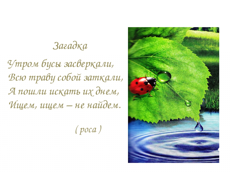 Загадки о природе с ответами, 1 класс