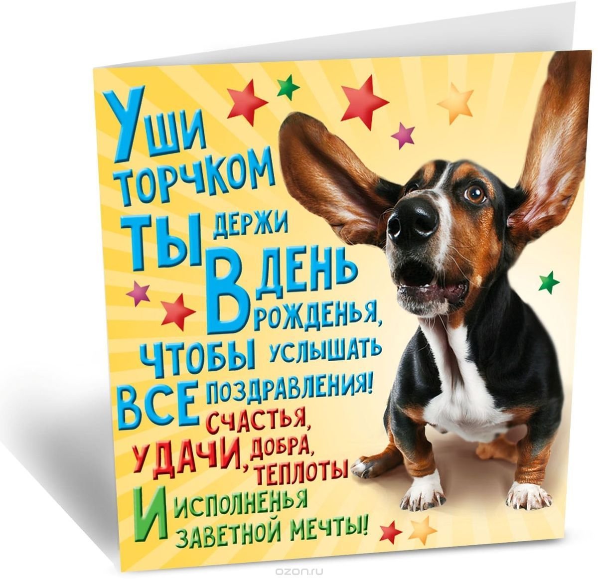 Стихи в зоопарке - сборник красивых стихов в доме солнца