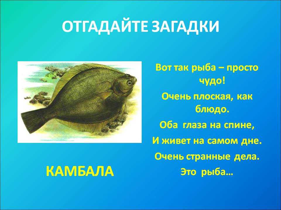 Загадки с грядки с ответами