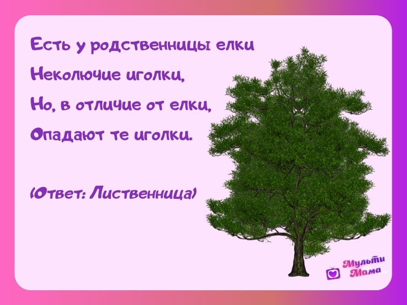 Загадки для детей 5 лет с ответами