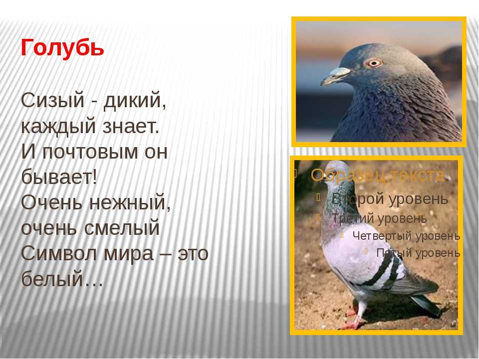 Загадки о спорте - юлия анатольевна александровская