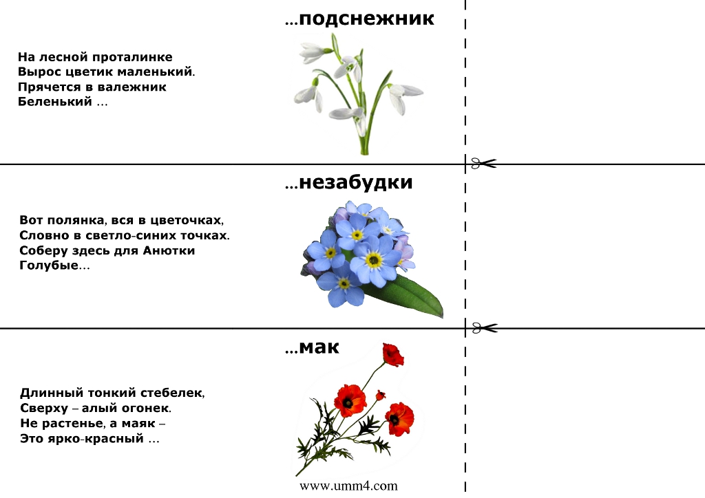 🌼 загадки про цветы