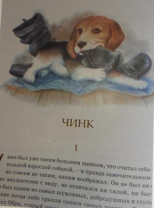 Сетон томпсон снап краткое содержание