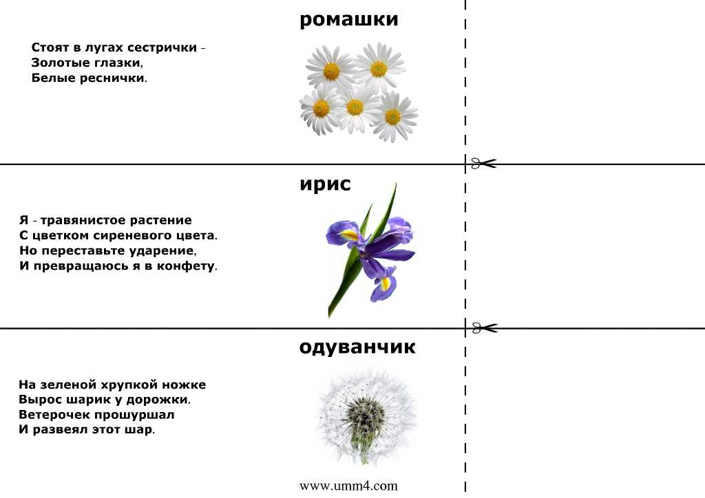 Дышит, растет, а ходить не может. загадки про растения для детей