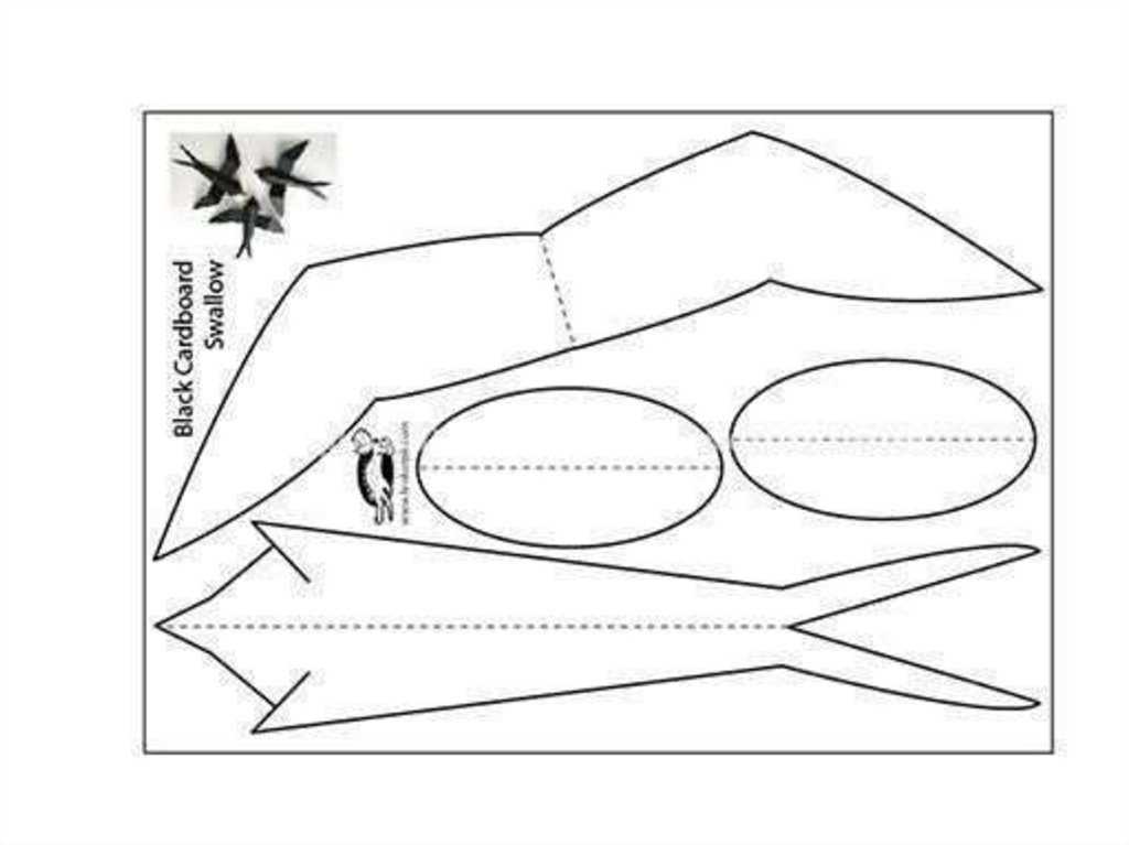 Перелетные ласточки - budovsky-clinic.ru