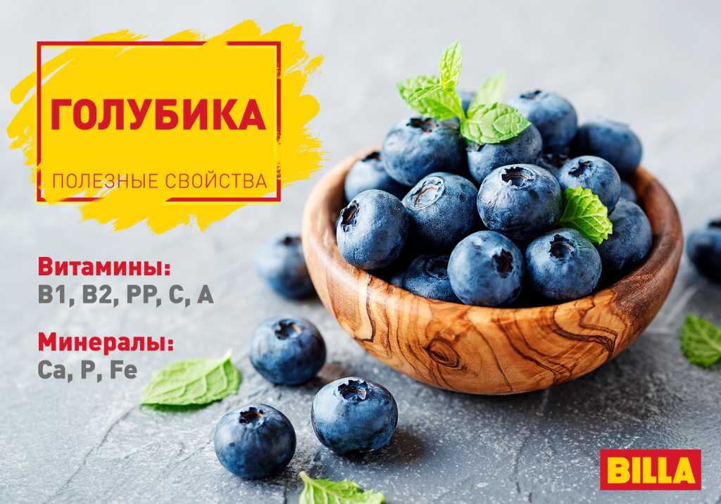 Голубика