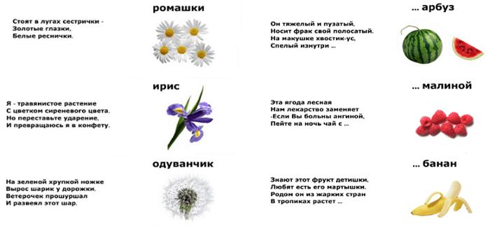Загадки о природе и животных для 2-3 класса с ответами