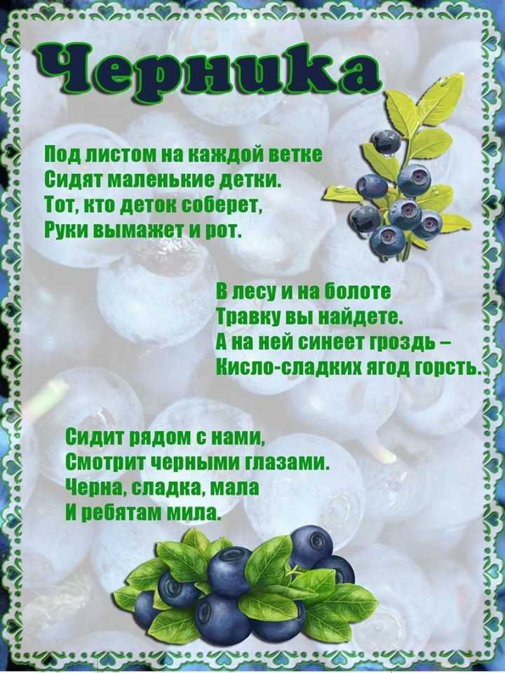Загадки про ягоды с ответами - я happy мама