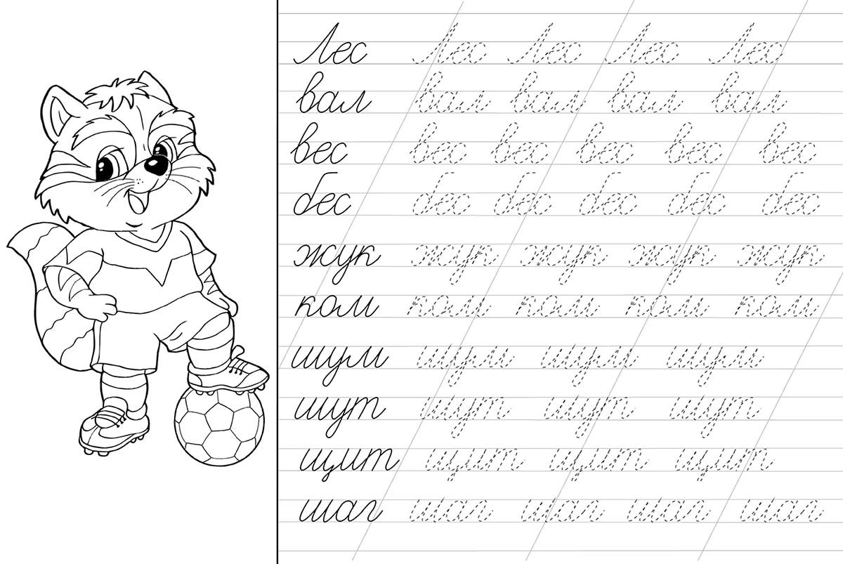 Прописи, которые можно бесплатно распечатать, для дошкольников, детей 1, 2 класса: печатные, прописные и каллиграфические буквы русского алфавита, цифры - женская жизньженская жизнь