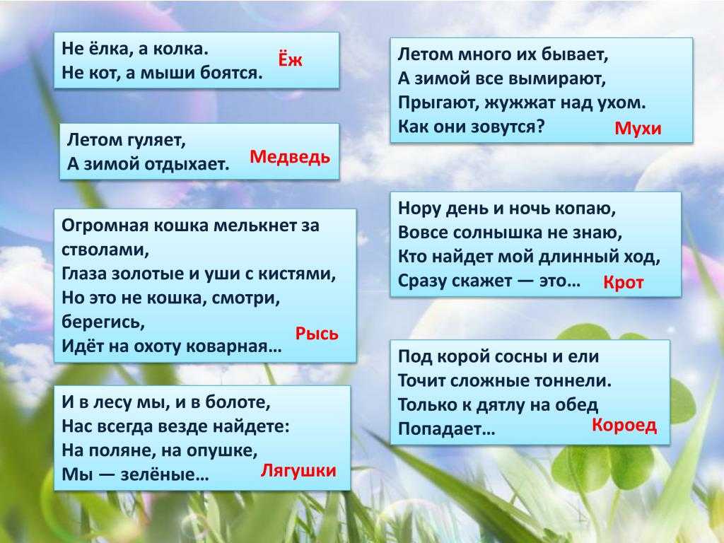 Загадки про материки, страны, города и достопримечательности мира