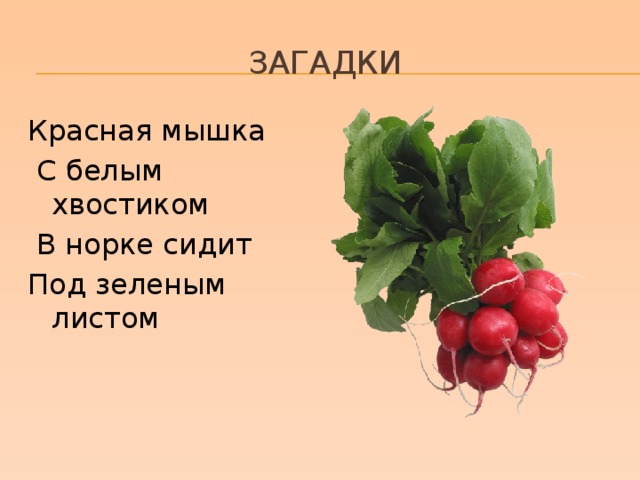 Загадка про голубой цвет. цветные загадки. несколько интересных детских загадок