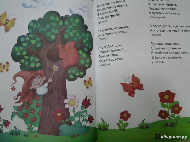 Загадки для детей 5-7 лет с ответами