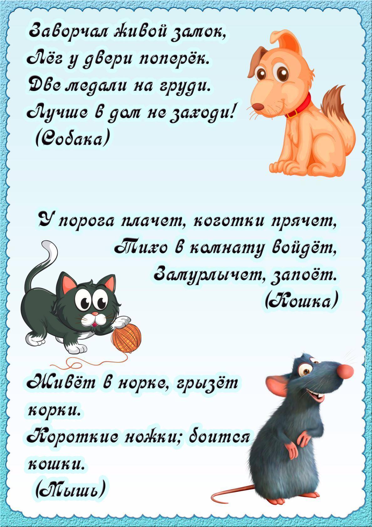 Почему лев – царь зверей