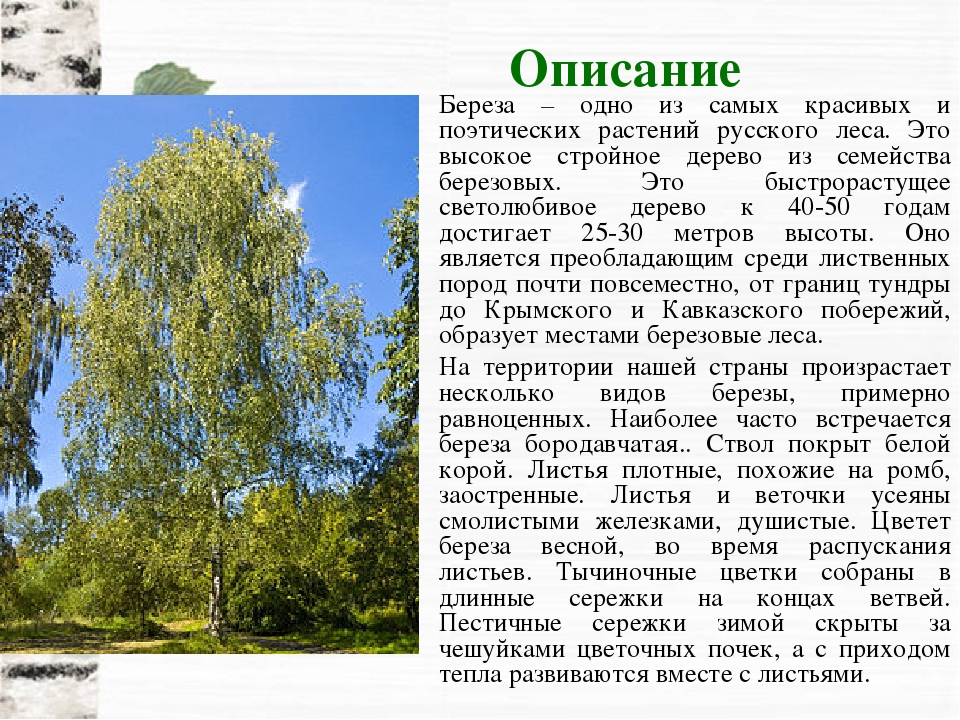 Сочинение по картине   и.и. левитана «золотая осень» 3,4,5 класс