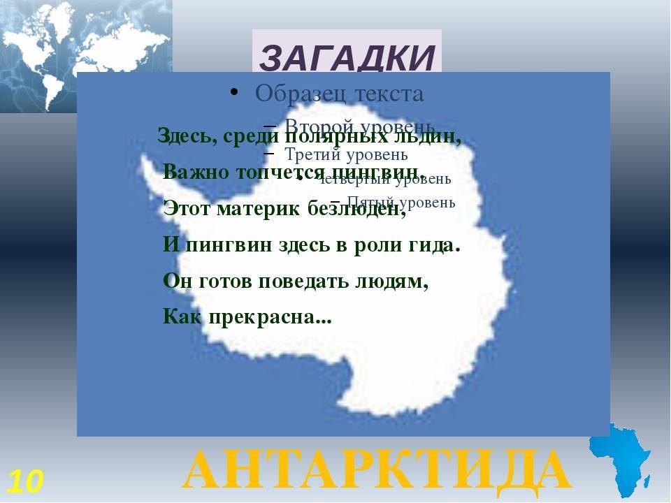 Золотистые цветы расцвели средь темноты. загадки про звёзды для детей с ответами