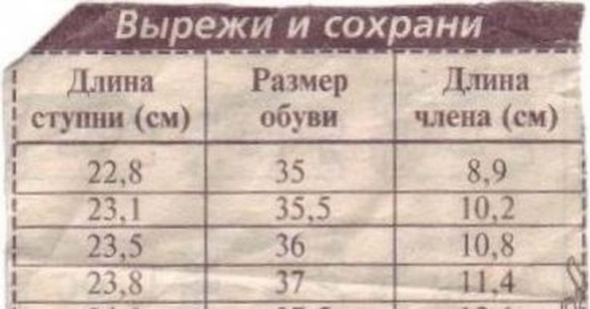 Размер члена по размеру ноги: соотношение длины пениса и обуви
