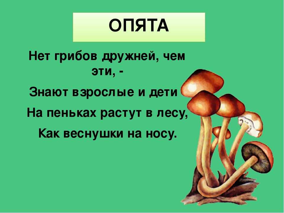 Считалки для детей — новинки (120 штук): простые, русские народные, сказочные