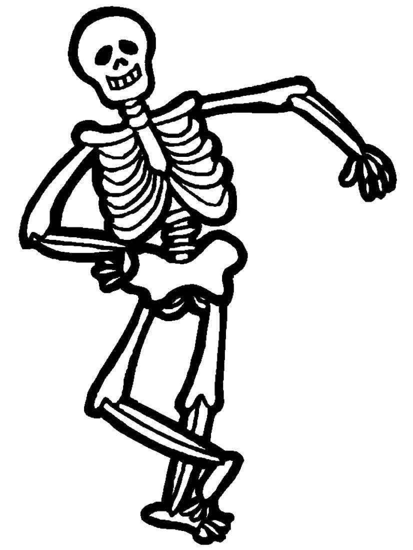 Человеческий скелет bone drawing раскраска, скелет, фотография, компьютер, человек png