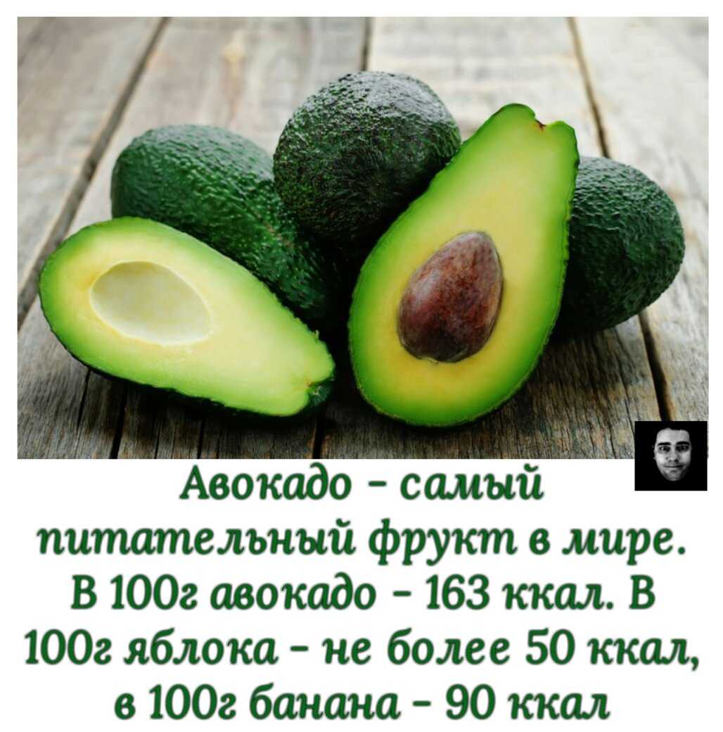 Стихи авокадо - сборник красивых стихов в доме солнца