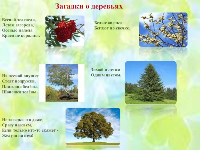 Загадки про страны мира с позновательными ответами (40 штук)