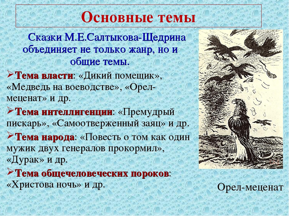 Салтыков щедрин добрая душа краткое содержание