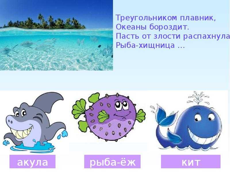 Загадки о домашних животных для детей 6-7 лет с ответами