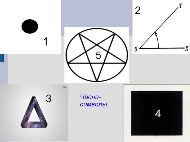 С | типы данных