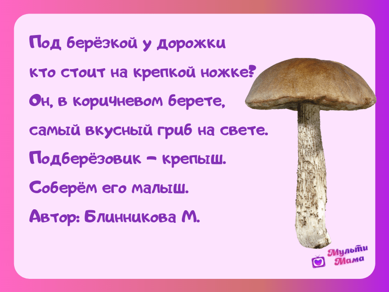 Стихи, загадки, рассказы про грибы для дошкольников