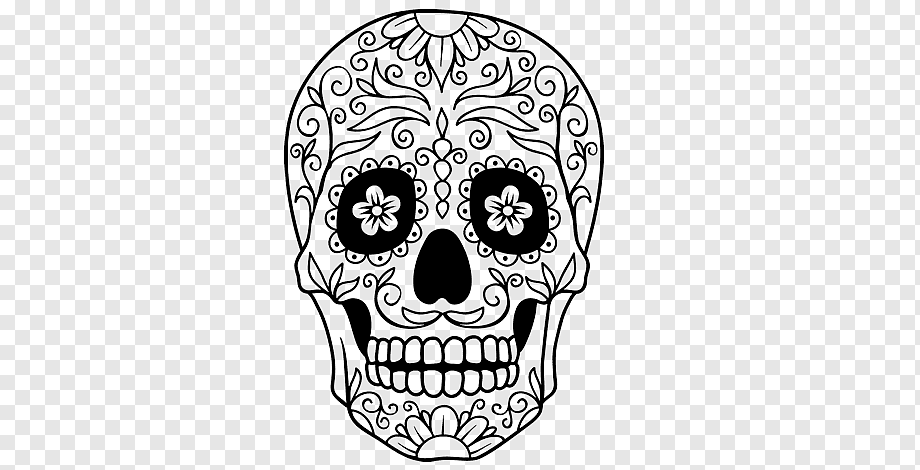Рисунок человеческий череп раскраска череп и скрещенные кости, череп, белый, лицо, монохромный png | klipartz