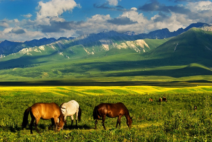 Абай кунанбаев – жаз, күз, қыс – стихи на казахском – казахский язык