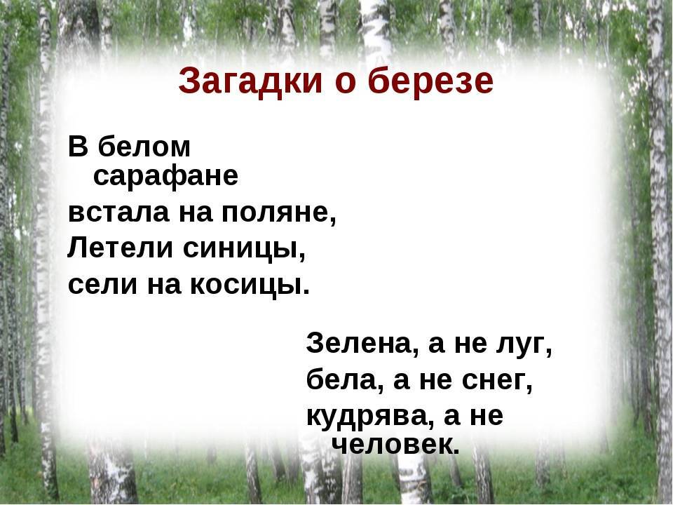 Загадка с ответом поляна